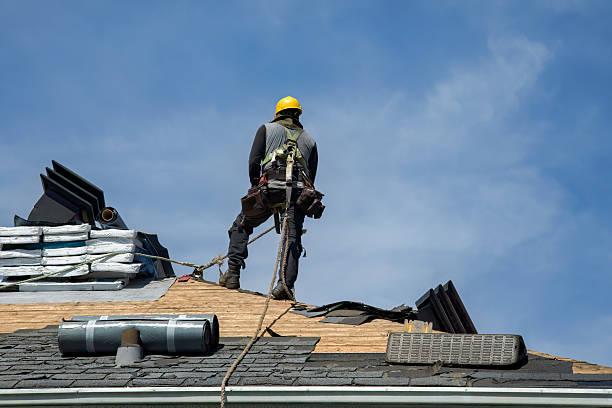 Professional Storm Damage Roof Repair technician working in Lena, IL